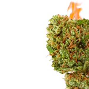 FLOWER flower shop dispensary