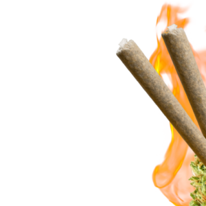 PRE-ROLLS Pre Rolls shop